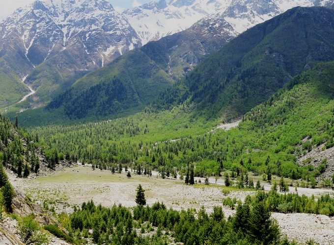 Shree Kailas Yatra