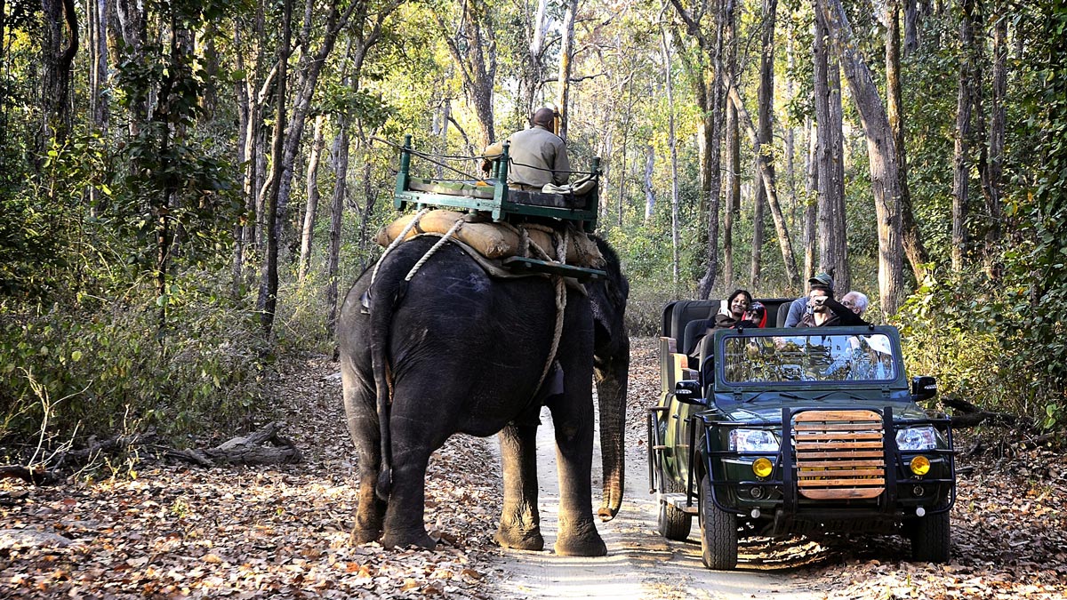 Bandhavgarh to Kanha