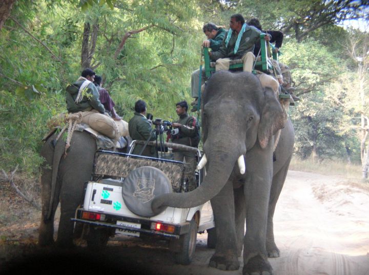 Bandhavgarh